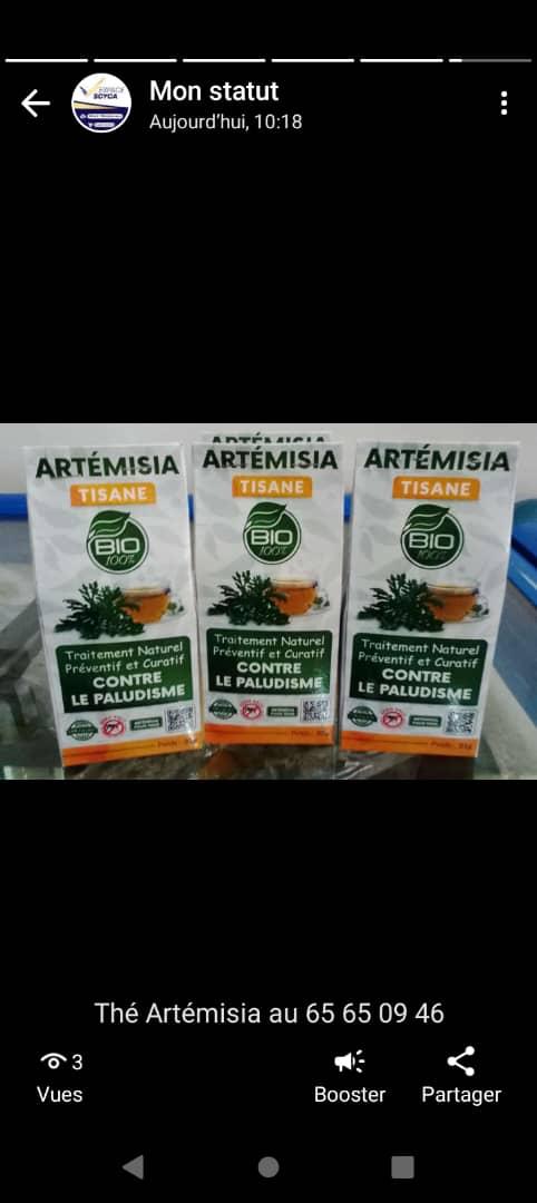 Artemesia tisane